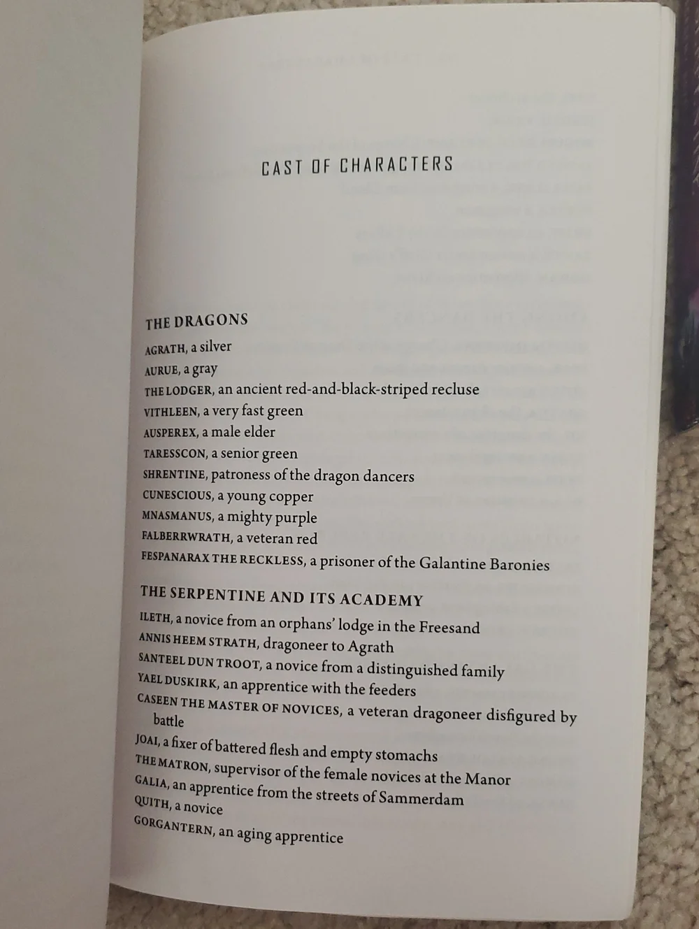 Dragoneer Academy Novels